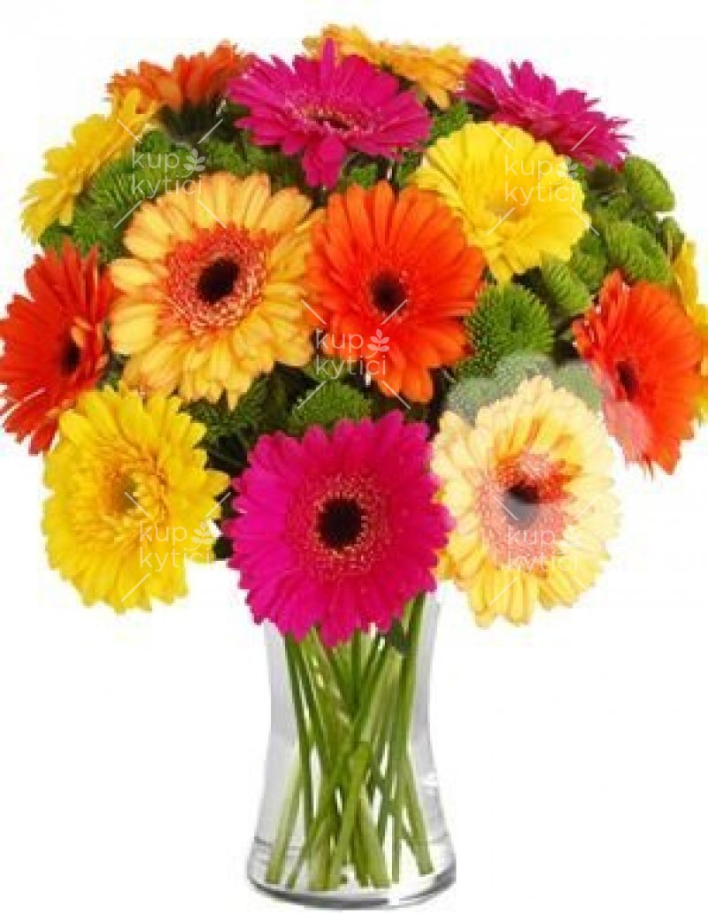 Bouquet of gerberas and santines Agnes