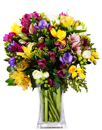 АЛЬСТРОМЕРИ + ФРЕЗИЯ