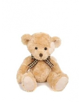 PLYŠOVÝ MEDVĚD