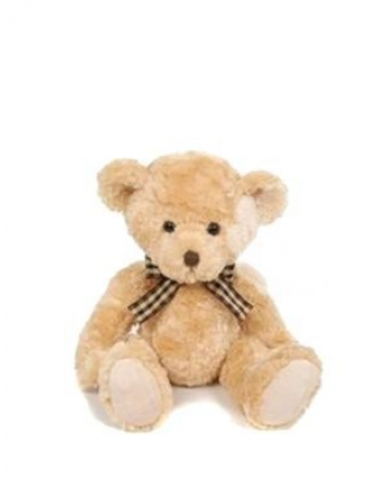 PLYŠOVÝ MEDVĚD