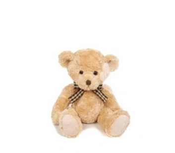 PLYŠOVÝ MEDVEĎ