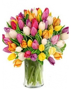 SVĚŽÍ TULIPÁNY