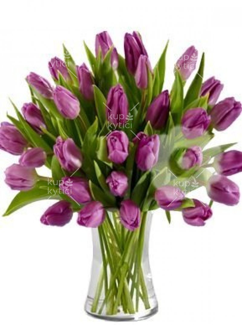 Kytica fialových tulipánov 3