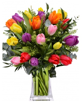 TULIPÁNY MIX