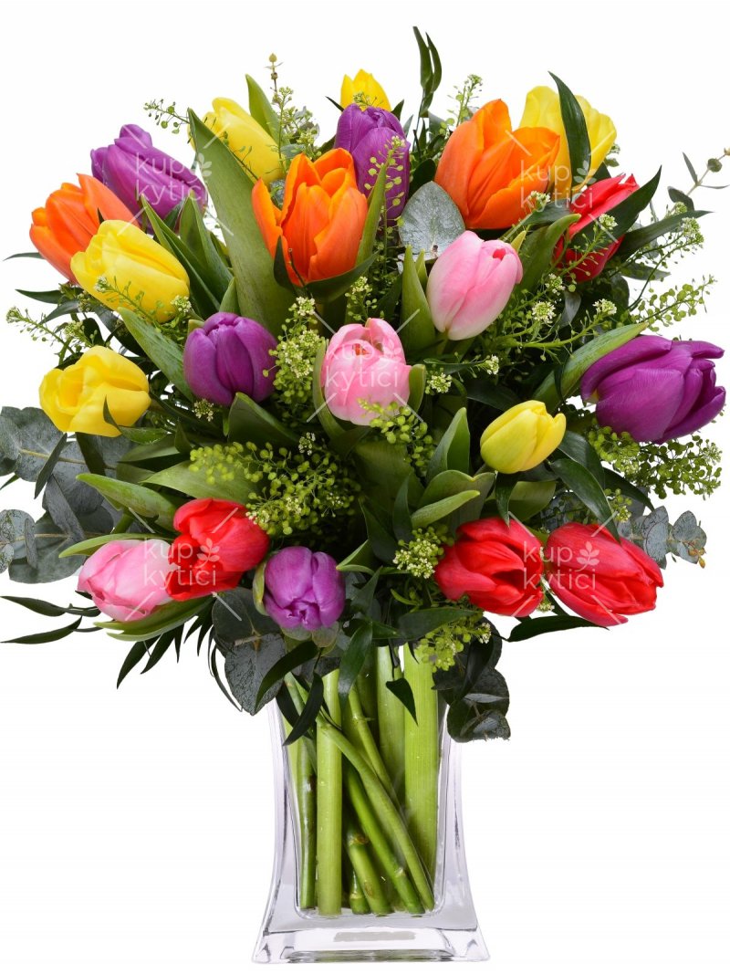 Tulipány mix barev