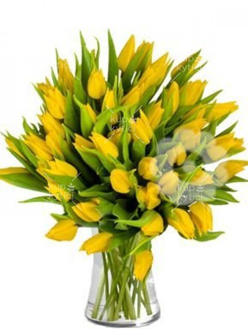 Kytice žlutých tulipánů 7