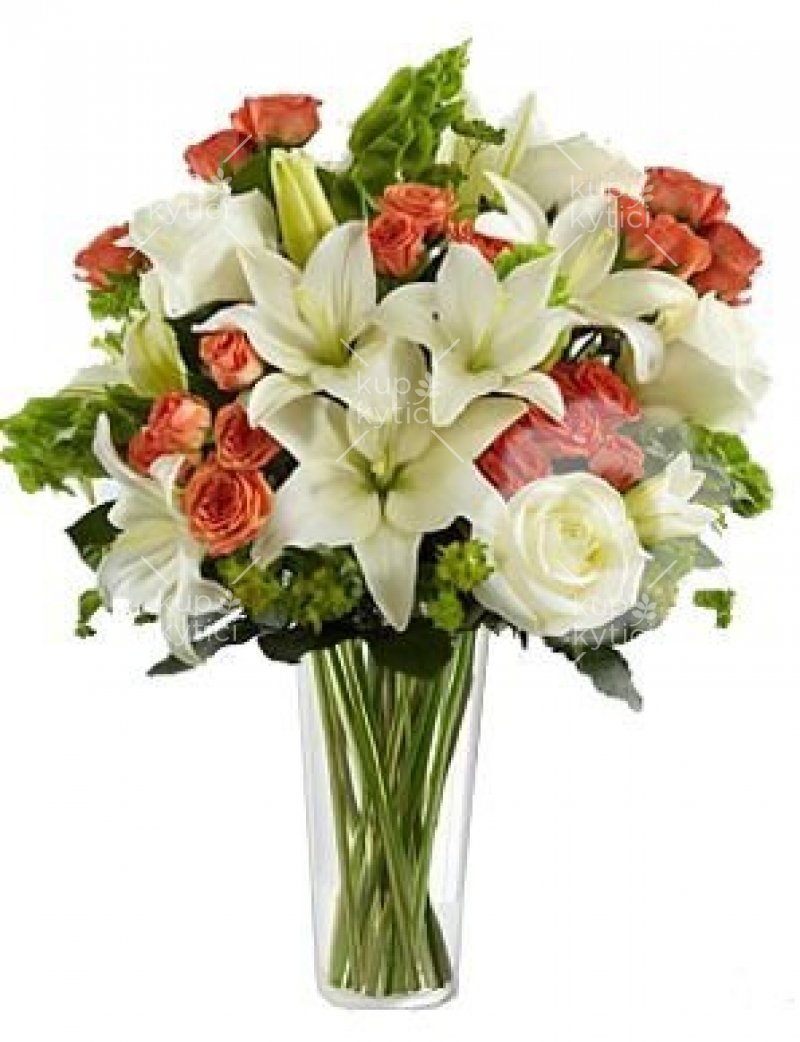 A beautiful combination in the white-orange color Karmelita