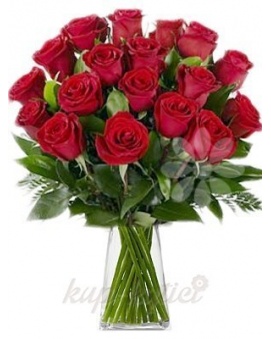 KYTICE RUDÝCH RŮŽÍ