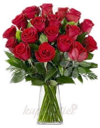 красные розы