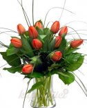 TULIPANY