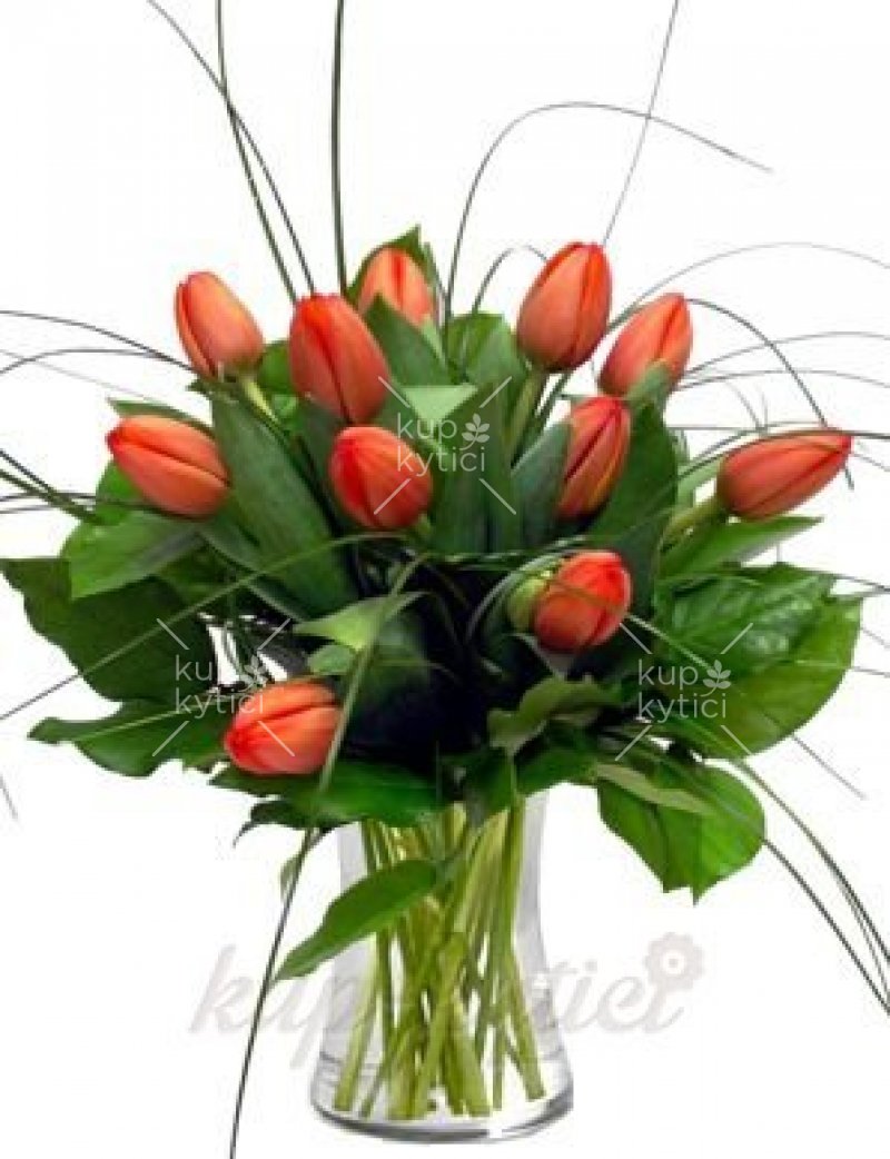 Kytica sviežich tulipánov