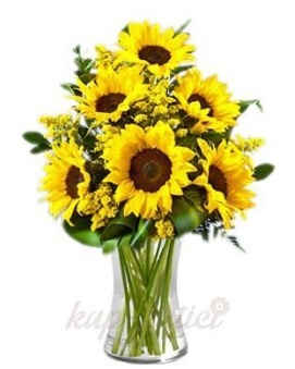 SUNNY