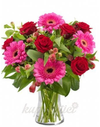 GERMINA