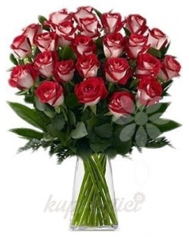 KYTICE ŽÍHANÝCH RŮŽÍ