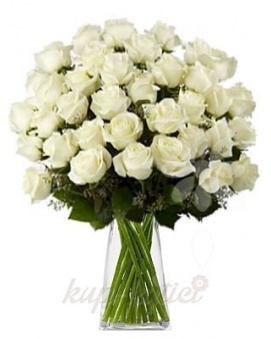 KYTICE BÍLÝCH RŮŽÍ