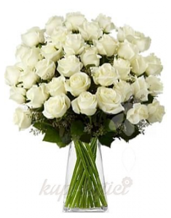 KYTICE BÍLÝCH RŮŽÍ
